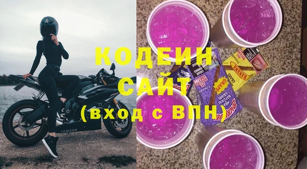 крисы Ельня