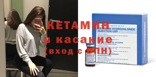 крисы Ельня