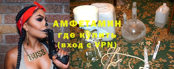 крисы Ельня