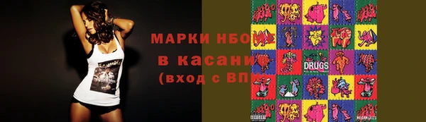 крисы Ельня