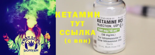 крисы Ельня