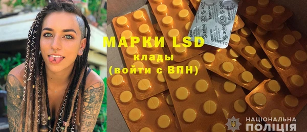 крисы Ельня