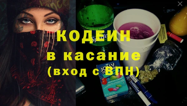 крисы Ельня