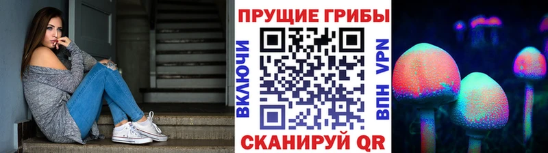 цена наркотик  Воскресенск  блэк спрут ССЫЛКА  Псилоцибиновые грибы MAGIC MUSHROOMS 