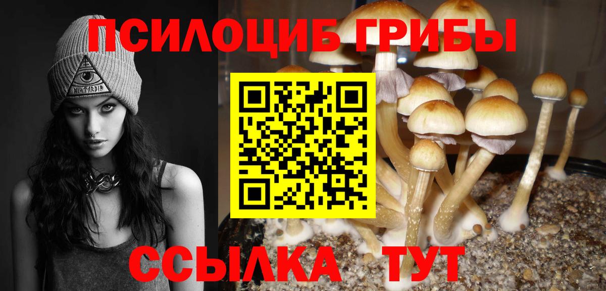 Воскресенск  Псилоцибиновые грибы ЛСД  Вход с VPN 