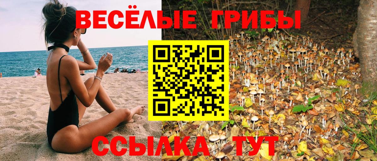 Галлюциногенные грибы Magic Shrooms Воскресенск